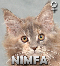 NIMFA Special Agent*PL