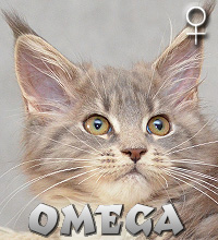 OMEGA Special Agent*PL