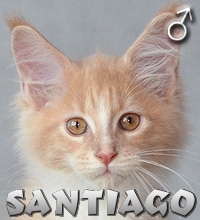 SANTIAGO Special Agent*PL