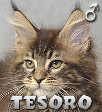 TESORO