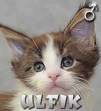 ULFIK