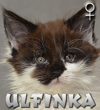 ULFINKA