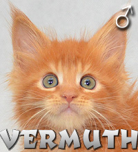 VERMUTH Special Agent*PL
