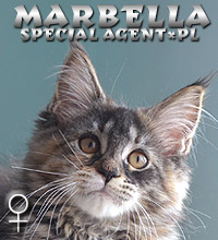 Marbella Special Agent*PL