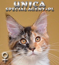 UNICA Special Agent*PL