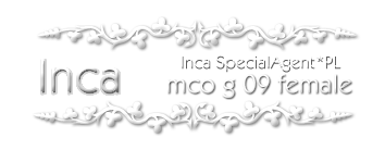 INCA Special Agent *PL