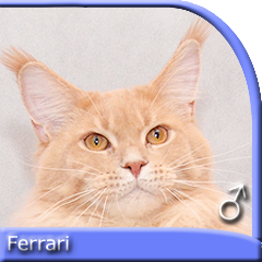 FERRARI Special Agent *PL